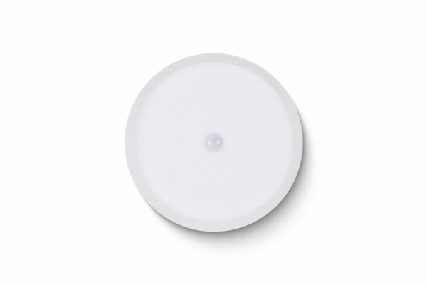 LED Ceiling Light RGBW Tree