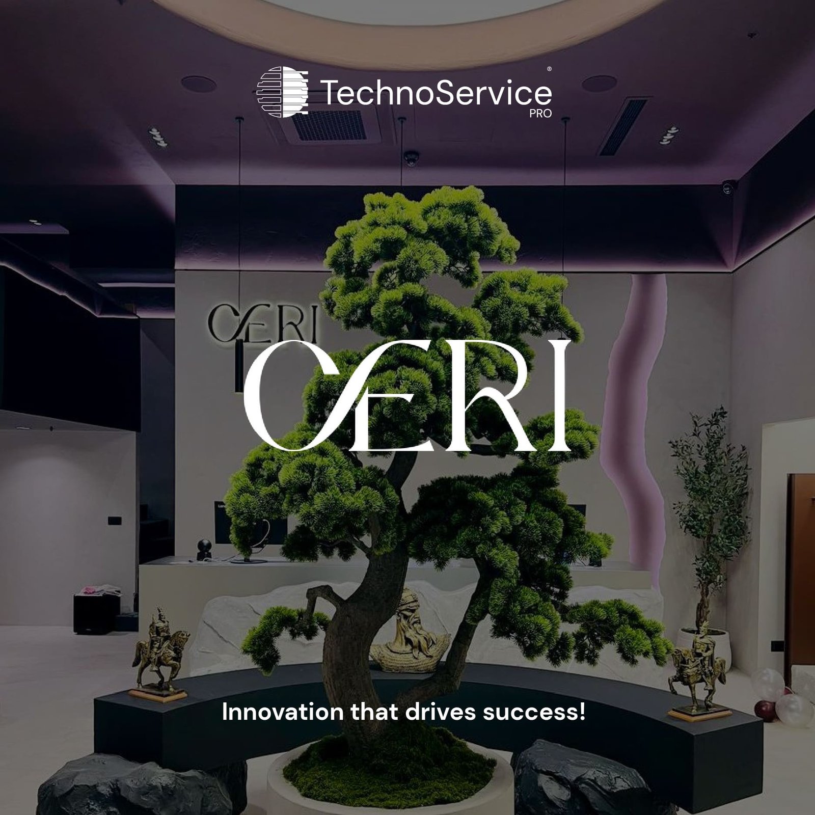 Data & Network Infrastructure – CÆRI Project | Techno Service Pro